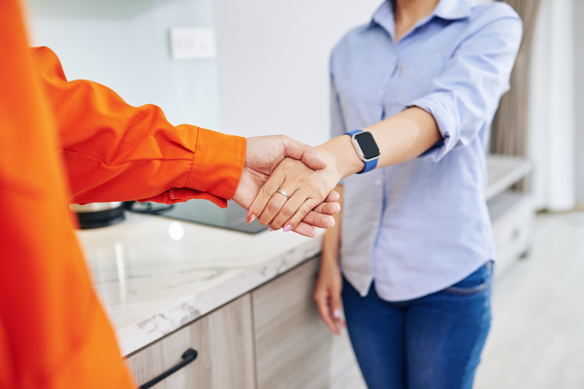 Repairman shaking hand of housewife